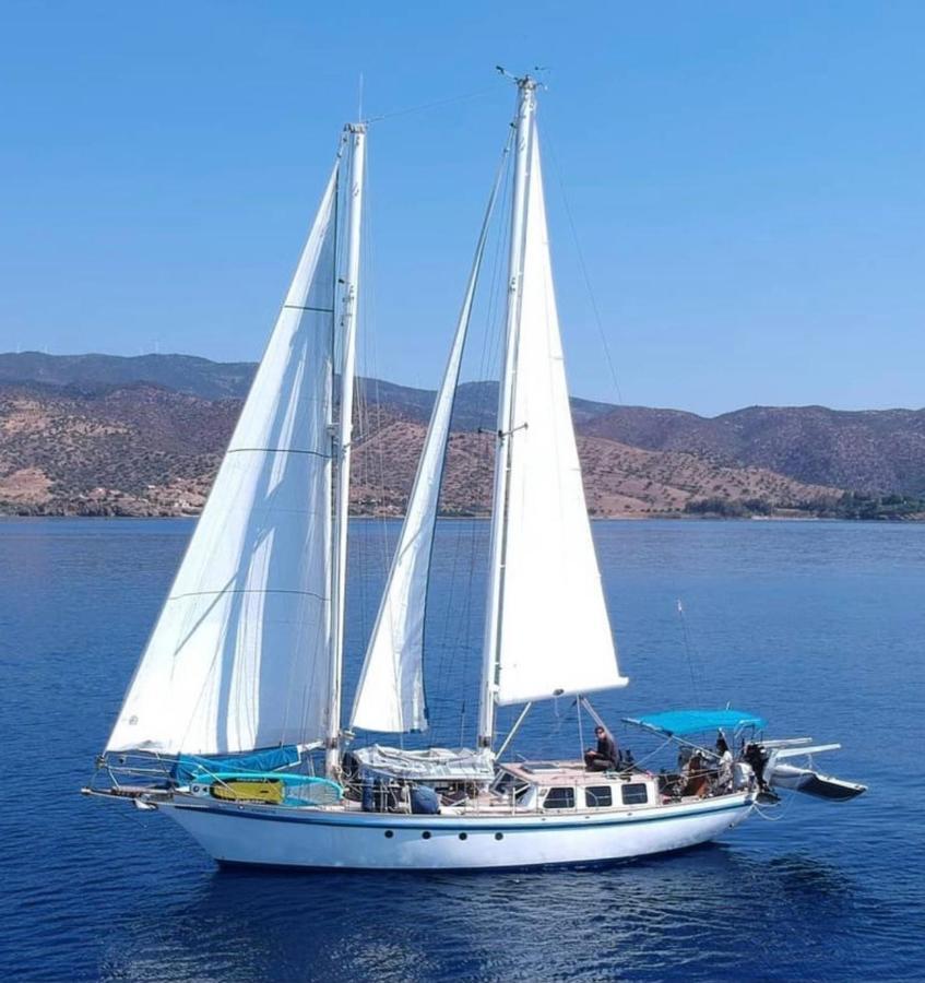 فندق Fantastico Velero En Barcelona سان أدريان دي بيزوس المظهر الخارجي الصورة